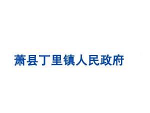 蕭縣丁里鎮(zhèn)人民政府